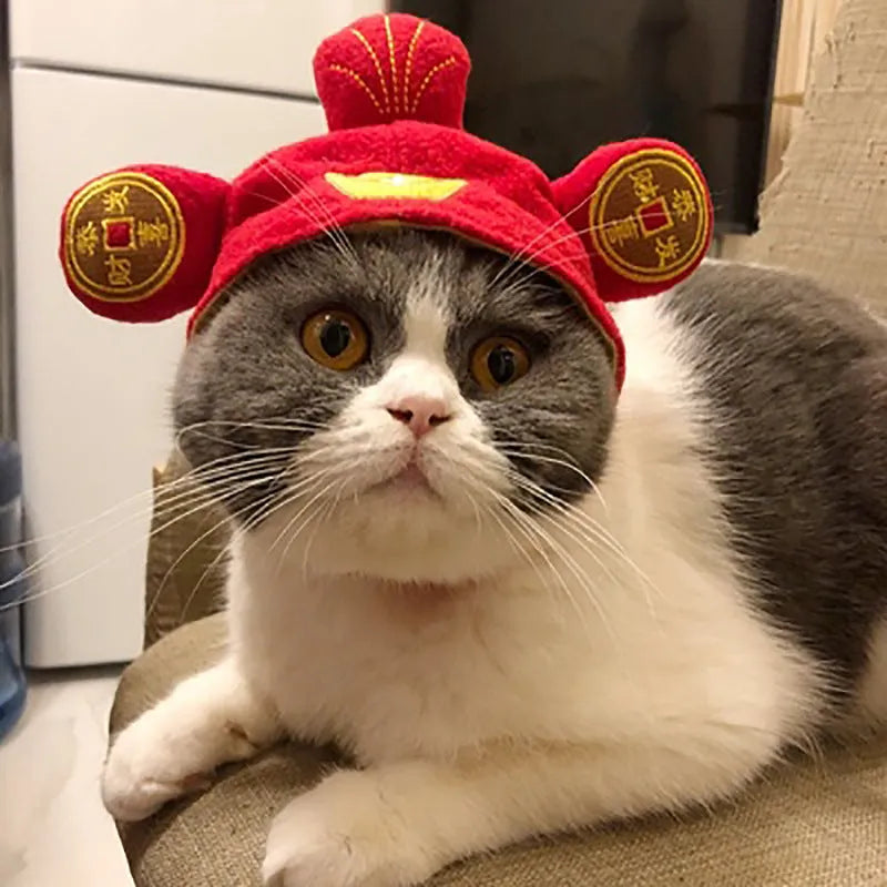 Pet headgear costume accessory with cartoon designs for cats and dogs
