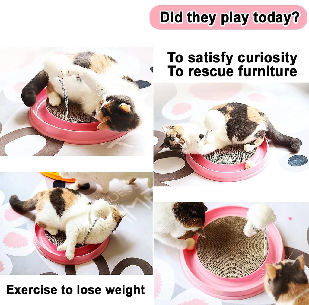 Blue cat scratcher toy with circular ball track and replaceable scratch pad