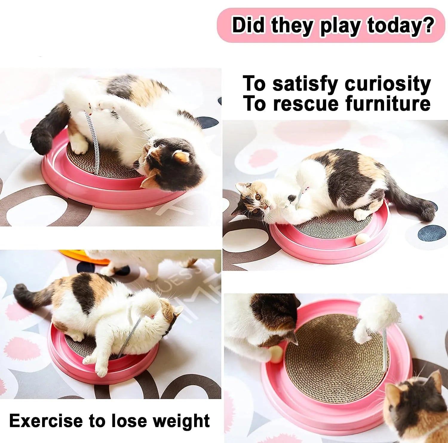 Blue cat scratcher toy with circular ball track and replaceable scratch pad