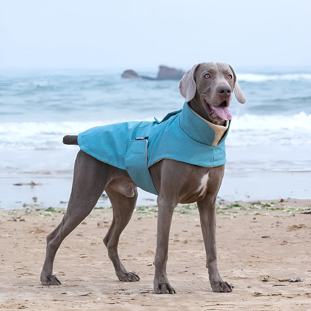 Cold-proof grey polyester dog vest for medium large breed on mannequin