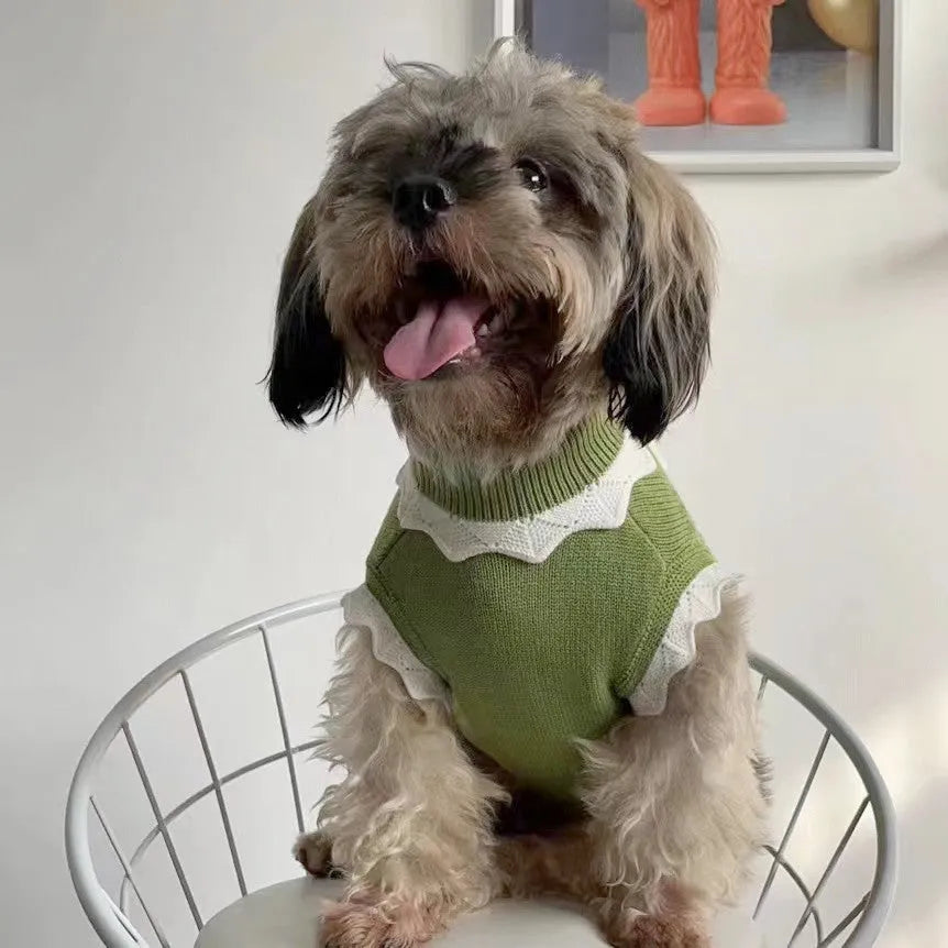 Green flower blossom knitted sweater for a small dog on a white background.