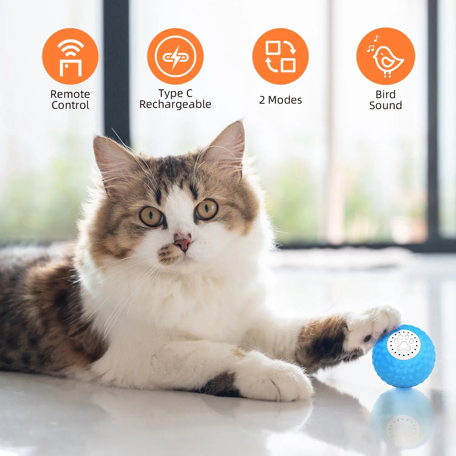 Smart electronic cat ball toy with remote control in blue, green, and yellow colour options