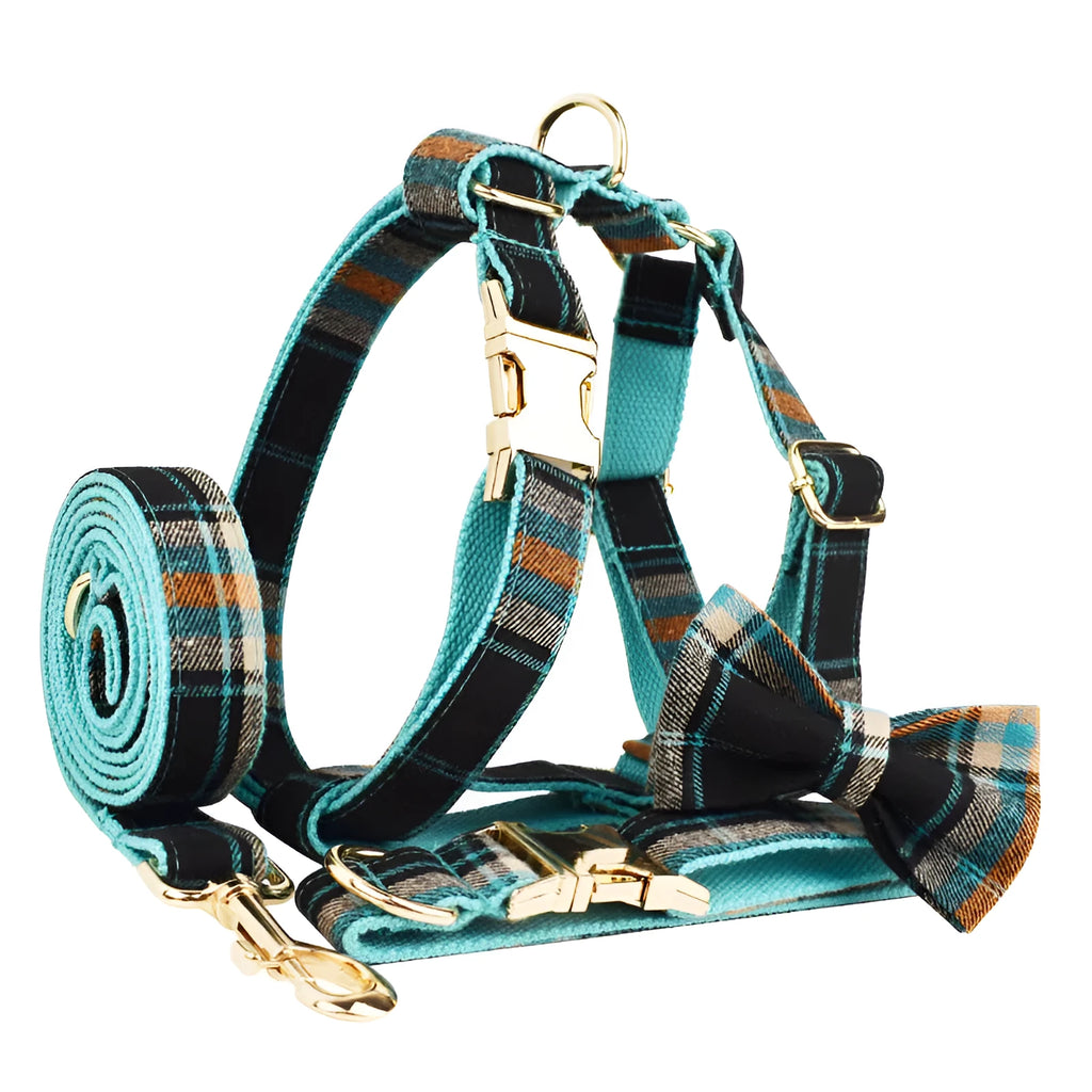 Green retro dog collar and leash four-piece set with matching vest and bow on cloth fabric