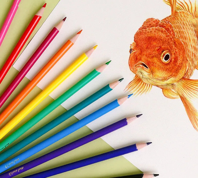 24 colour wooden pencil set with cartoon design and HB hardness leads for drawing