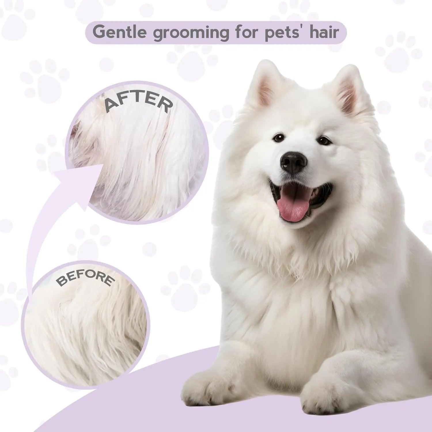 Purple pet detangling comb with stainless steel teeth for cat and dog grooming
