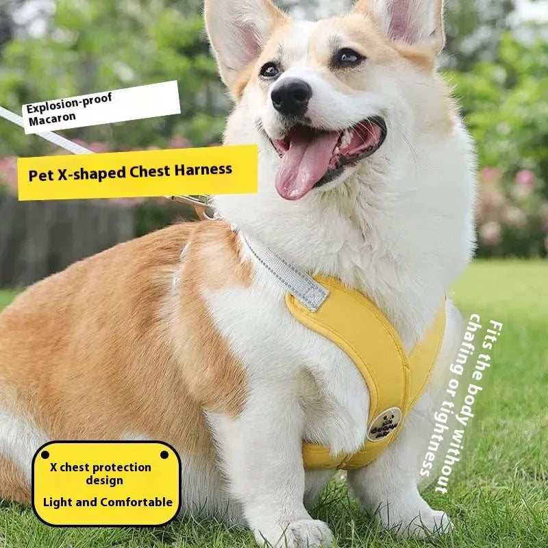 Polyester dog vest and matching hand holding leash in blue, green, pink, or yellow