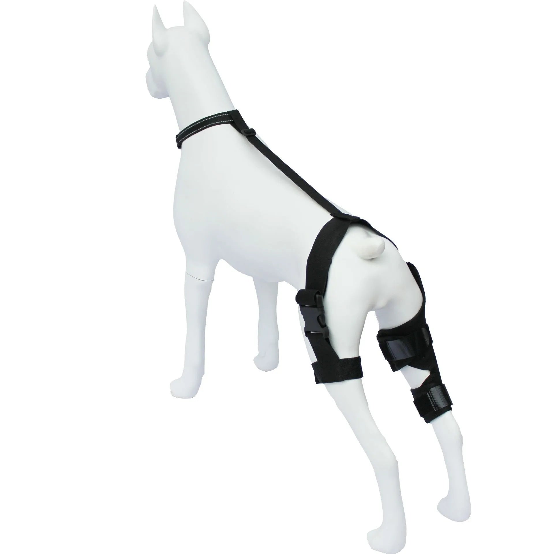 Neoprene dog hind leg knee brace in sizes XS to L available in five colours