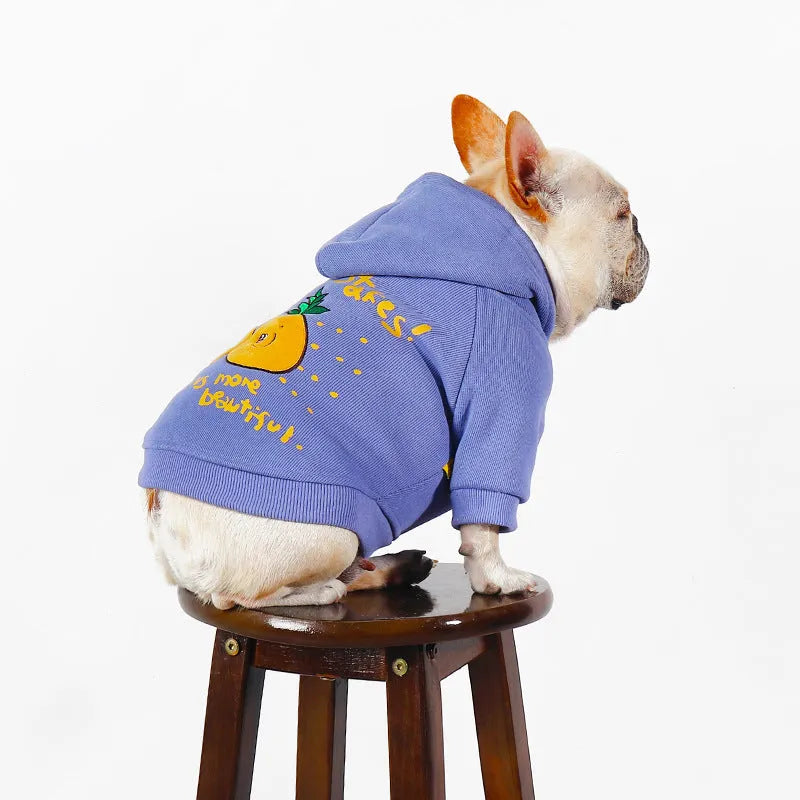 Blue and purple cotton pet hoodie with cartoon print design for winter wear