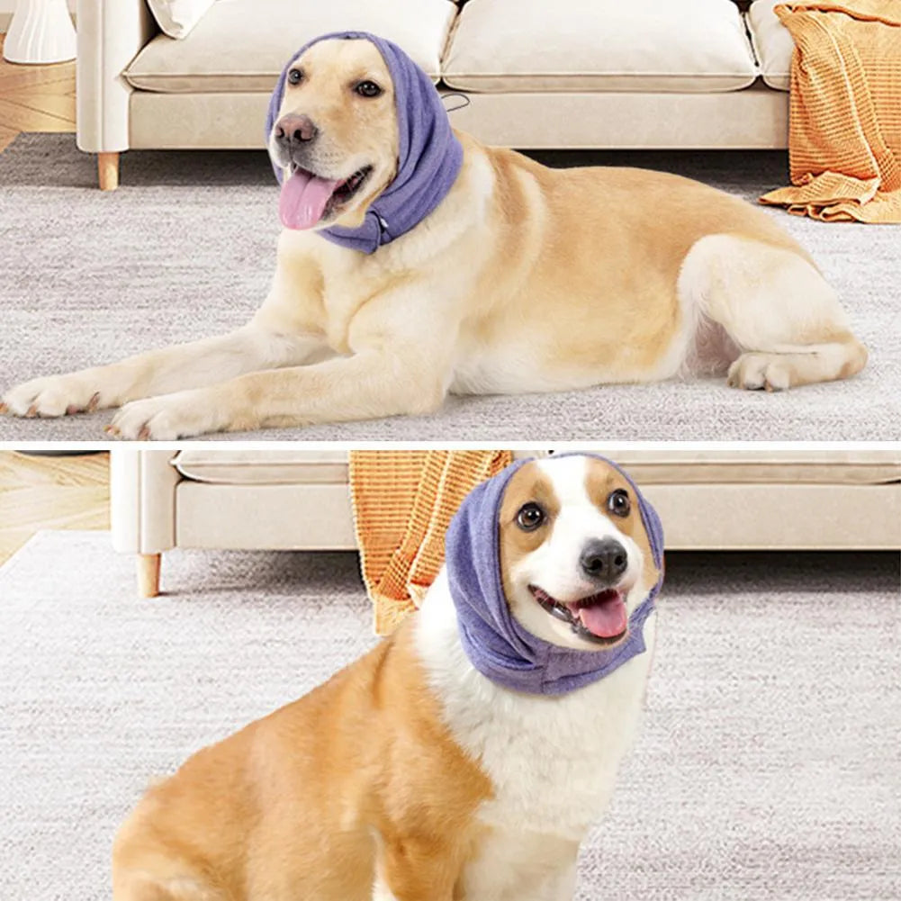 Dog wearing purple noise reduction hoodie with ear wraps and head cover