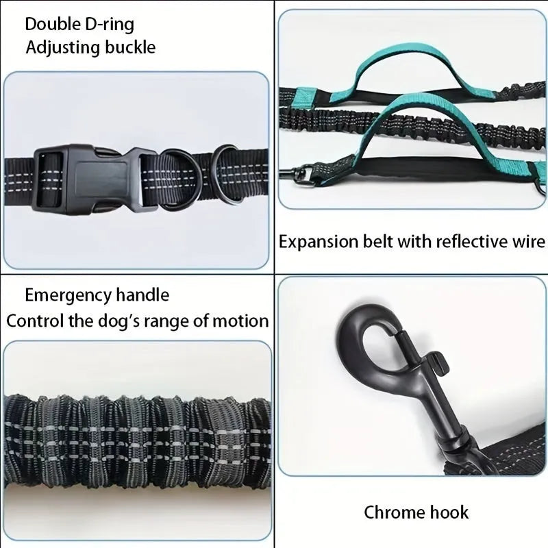 Hands-free dog leash with adjustable waist belt worn by person running with dog