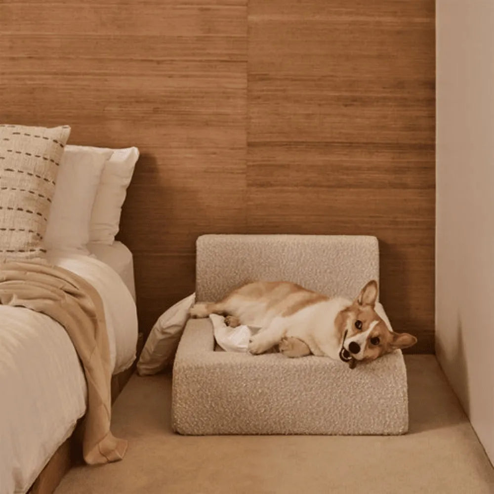 White rectangular dog mat with backrest and sponge filling, size L, on a wooden floor