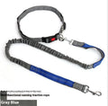 Grey and green reflective nylon dog leash with 2.5cm width for outdoor running