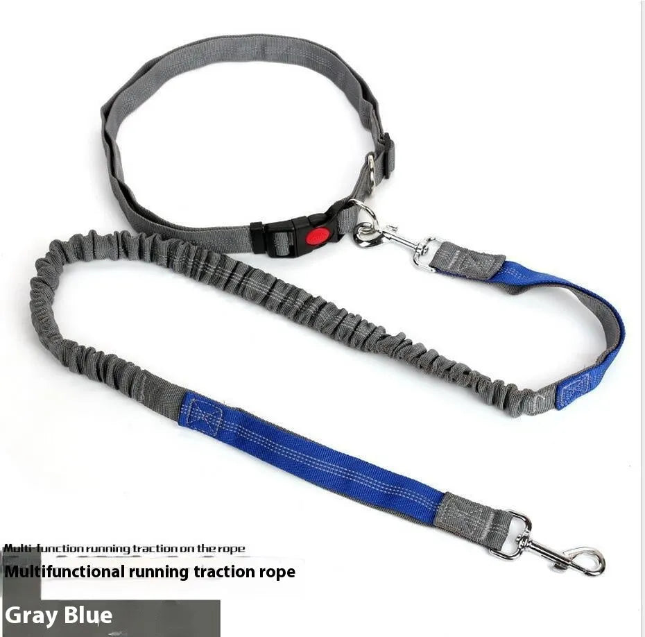 Grey and green reflective nylon dog leash with 2.5cm width for outdoor running