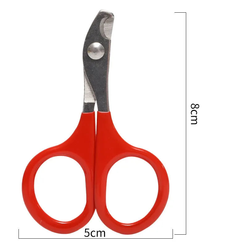 Close-up of pet nail clippers with stainless steel blades and a coloured rubberised handle.