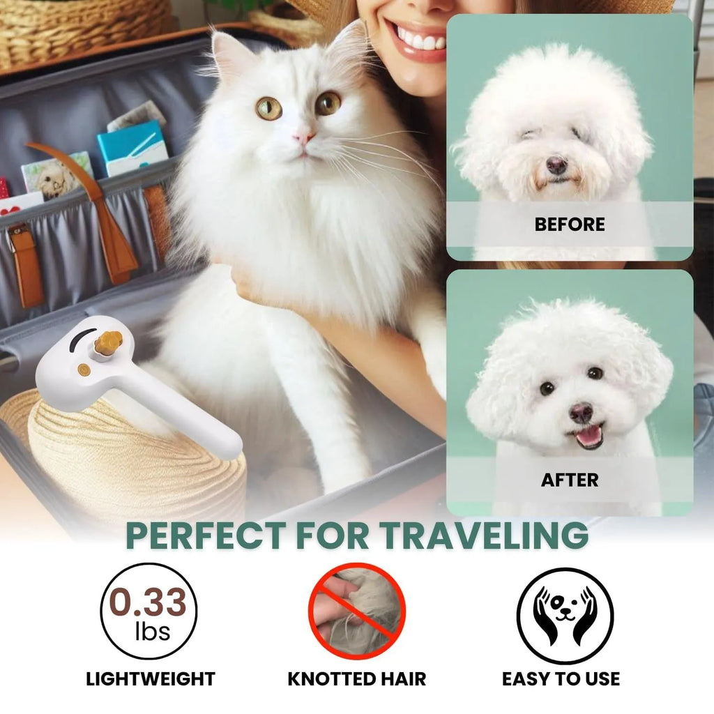 White pet grooming brush with water tank and steel teeth for dogs and cats
