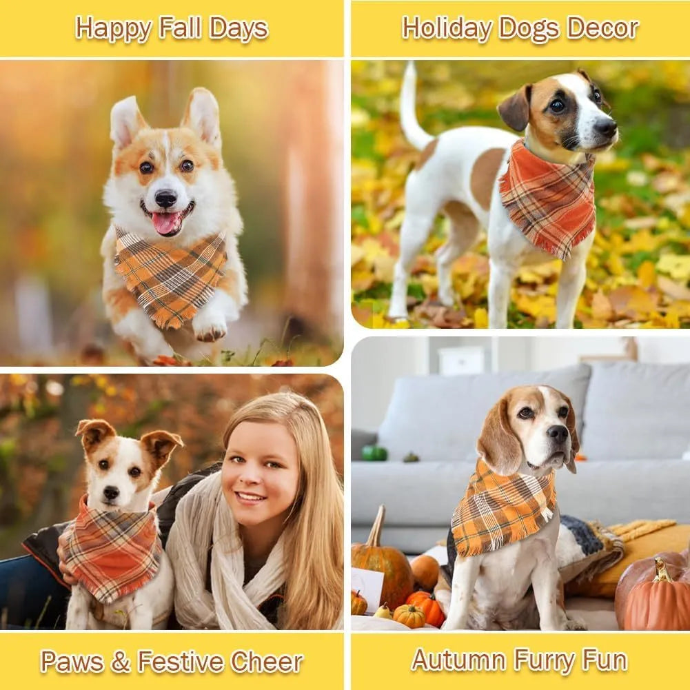 Classic plaid dog bandana with tasselled edges in autumn colours tied around dog's neck