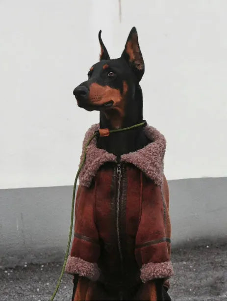 Winter velvet pet lapel leather coat for big dogs, denim fleece collar, sizes 4XL to 7XL