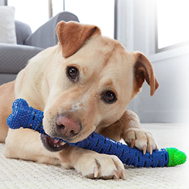 Blue green silicone dog toothbrush chew toy with brush head design measuring 25cm length