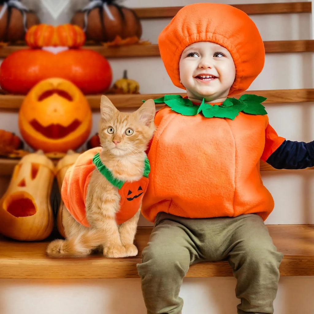 Orange pumpkin plush Halloween costume on small dog with pullover design and soft materials