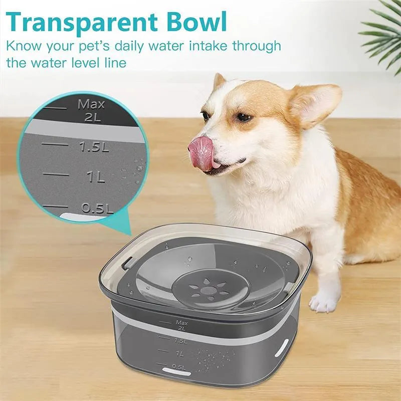 Transparent 70oz dog water bowl with floating disc showing visible water level measurement