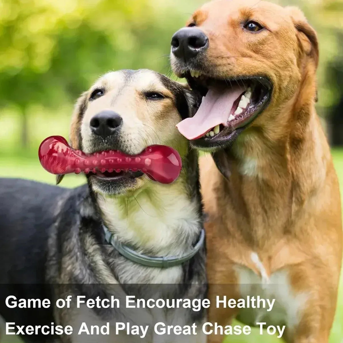 Red natural rubber chew toy for aggressive dogs and heavy chewers