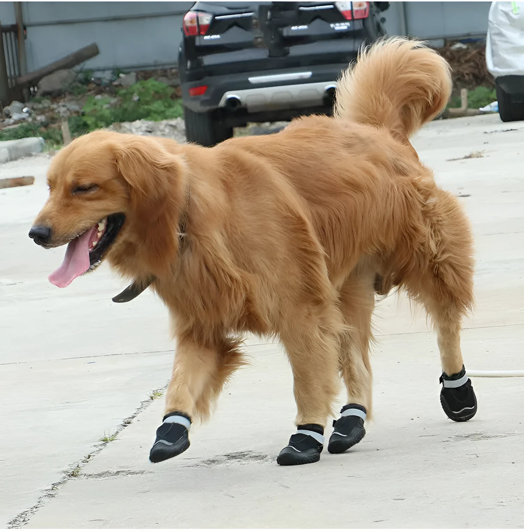 Grey pet shoes for big dogs with super-fiber toe cap, breathable mesh, reflective tape, and rubber outsole on a white background