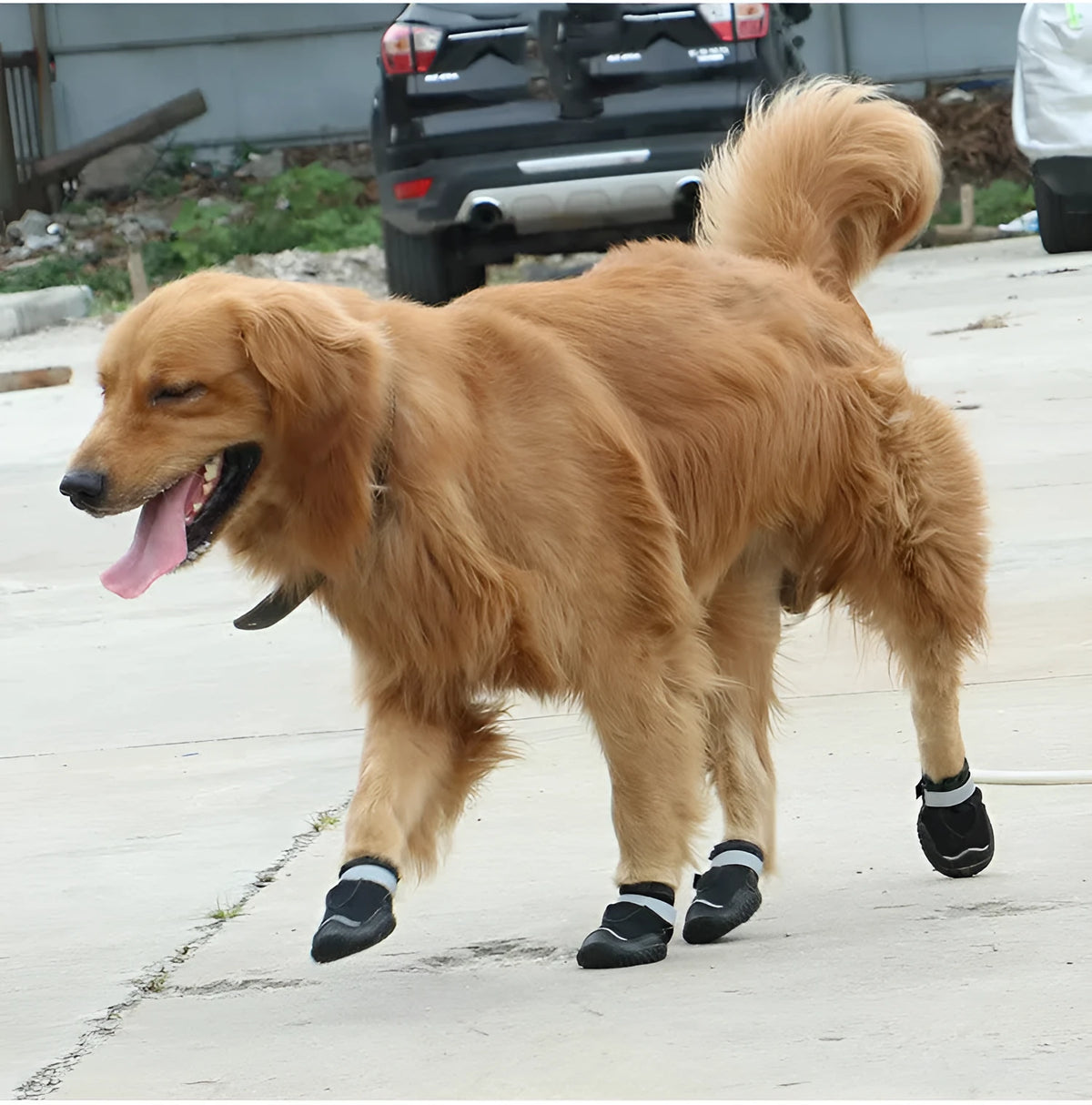 Grey pet shoes for big dogs with super-fiber toe cap, breathable mesh, reflective tape, and rubber outsole on a white background