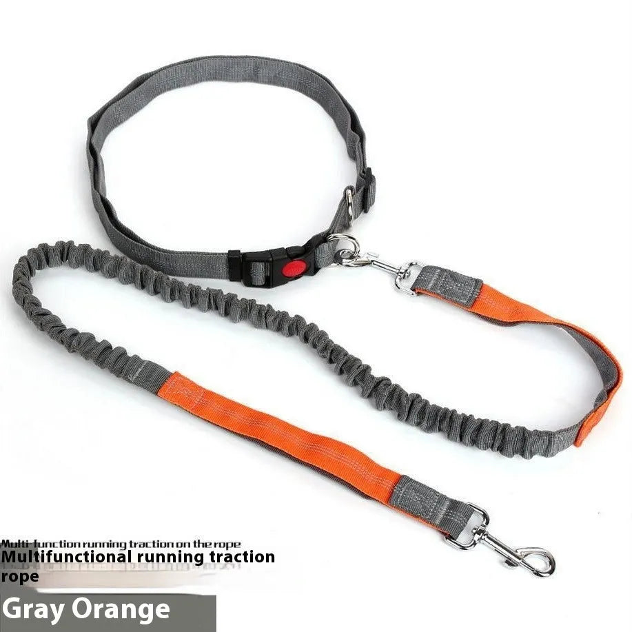 Grey and green reflective nylon dog leash with 2.5cm width for outdoor running
