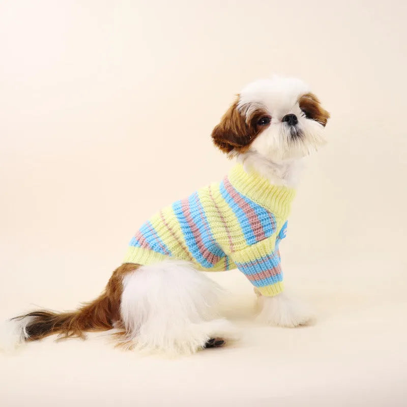 Blue and yellow striped wool dog jumper for small breeds like Schnauzer or Maltese.