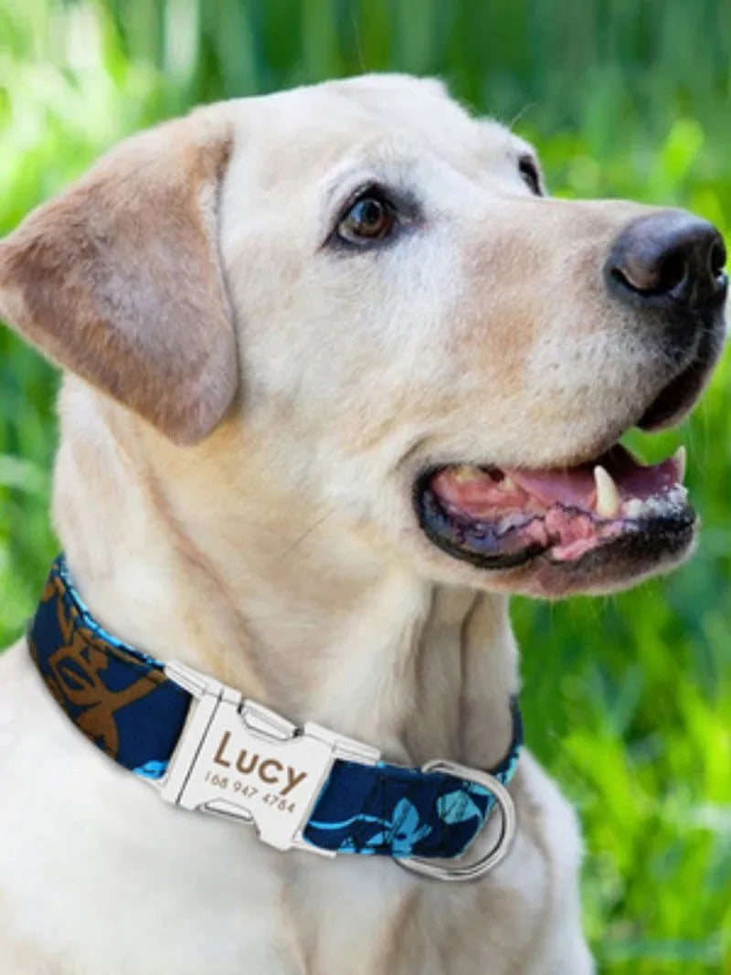 Adjustable nylon dog collar with quick-release buckle in black, green, and rose red