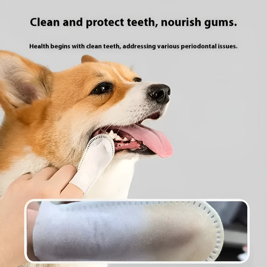 Pack of 50 white non-woven fabric pet dental cleaning finger stalls.