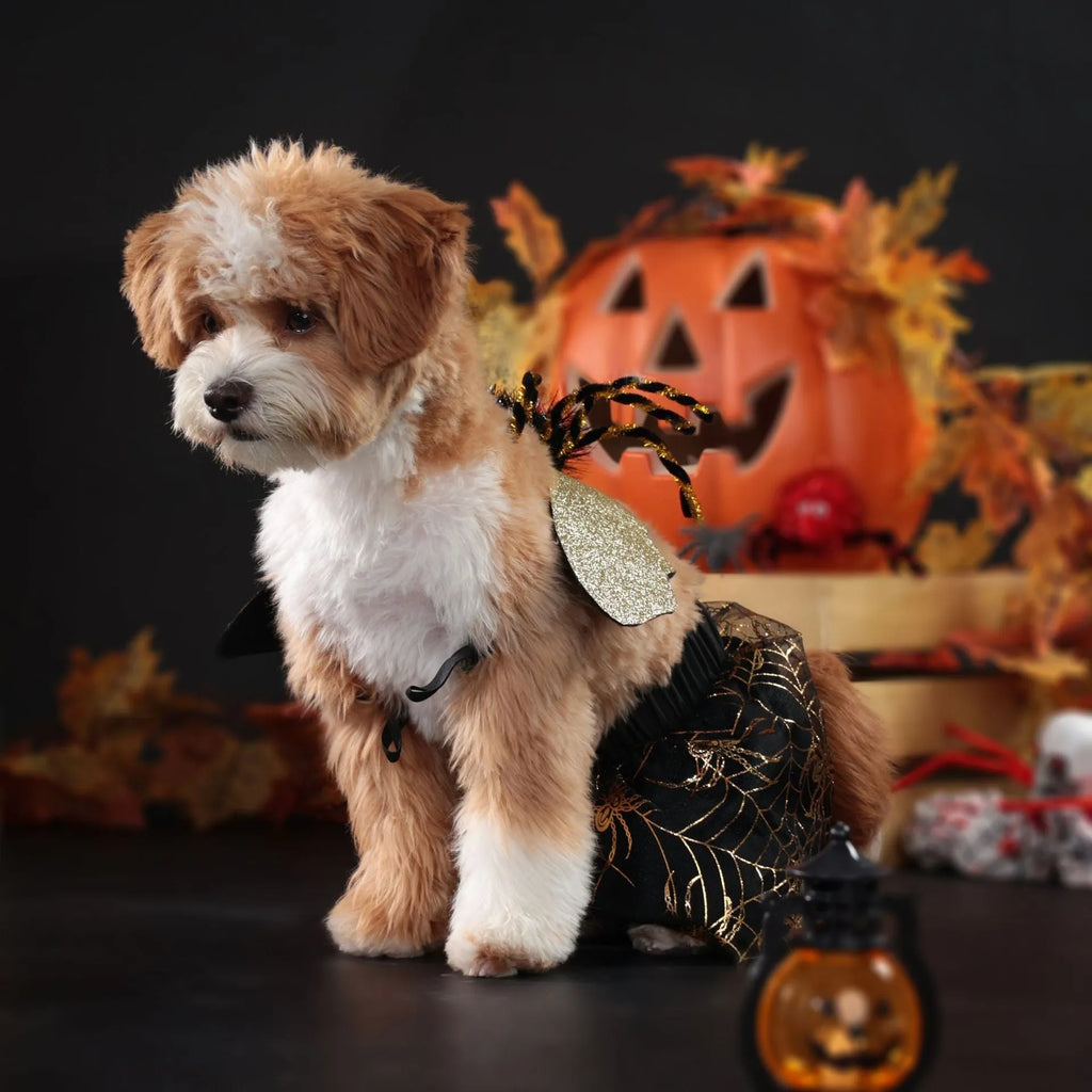 A dog wearing a full-body polyester suit costume for Halloween, available in sizes S, M, L, and XL.