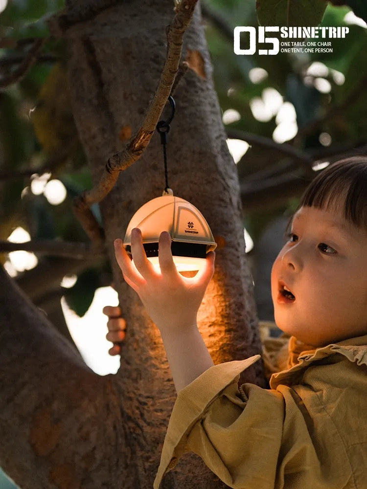 Camping lantern with analog brightness dial in dark green colour showing 10.5cm height