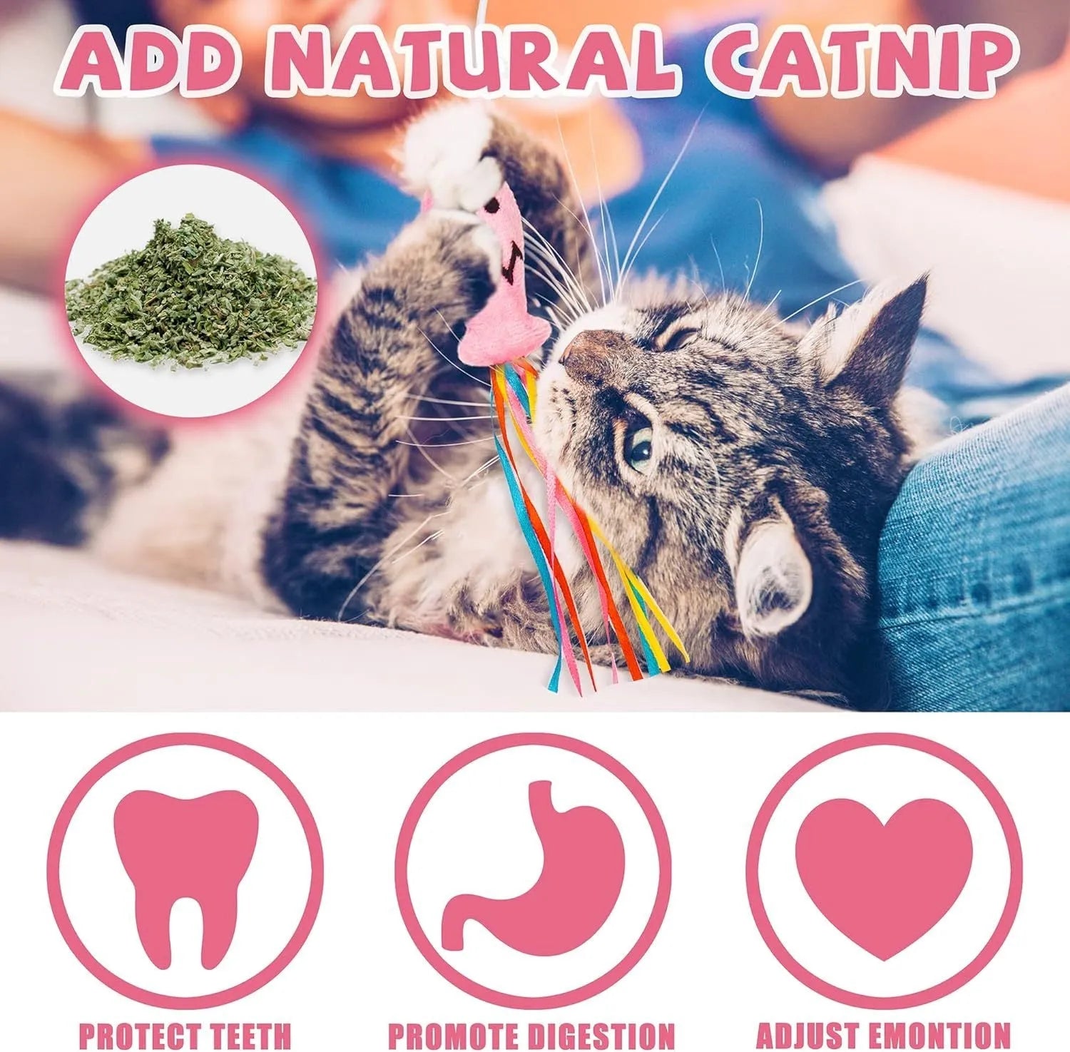 Cat wand toy with wooden handle, elastic rope, catnip fish, colourful ribbons, and bell