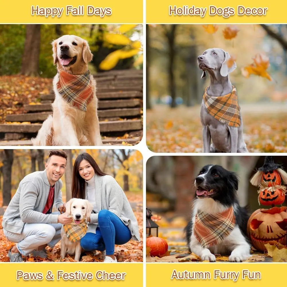 Classic plaid dog bandana with tasselled edges in autumn colours tied around dog's neck