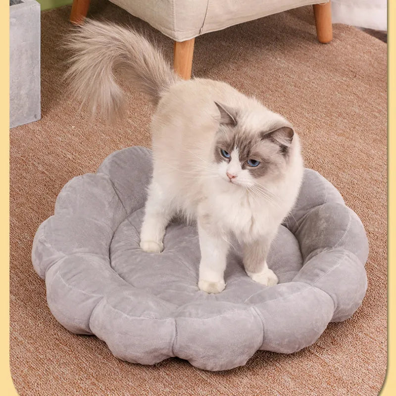Square blue pet bed cushion with a half-surrounded side and short plush fabric
