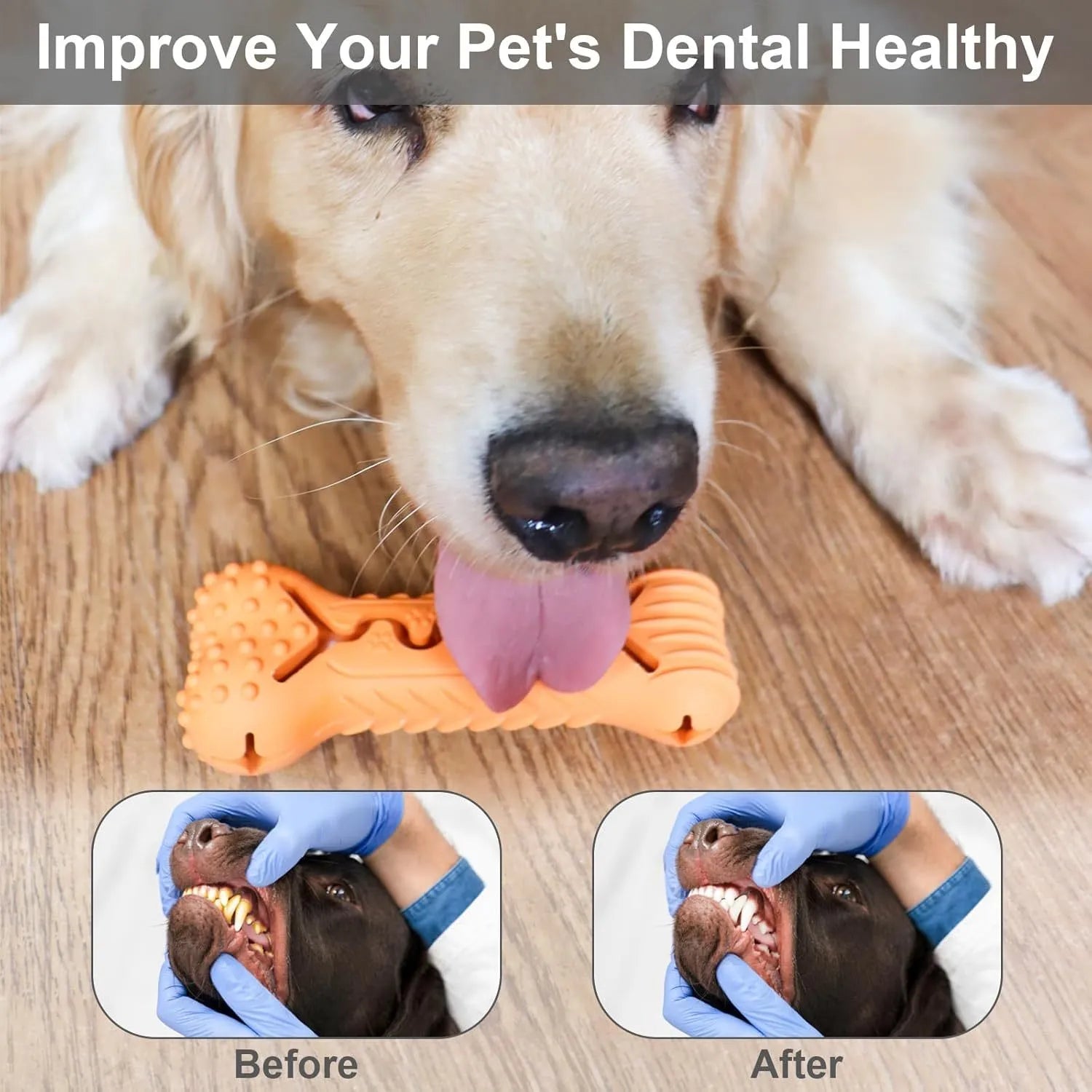 Blue bone-shaped natural rubber dog chew toy with textured surface for teeth cleaning