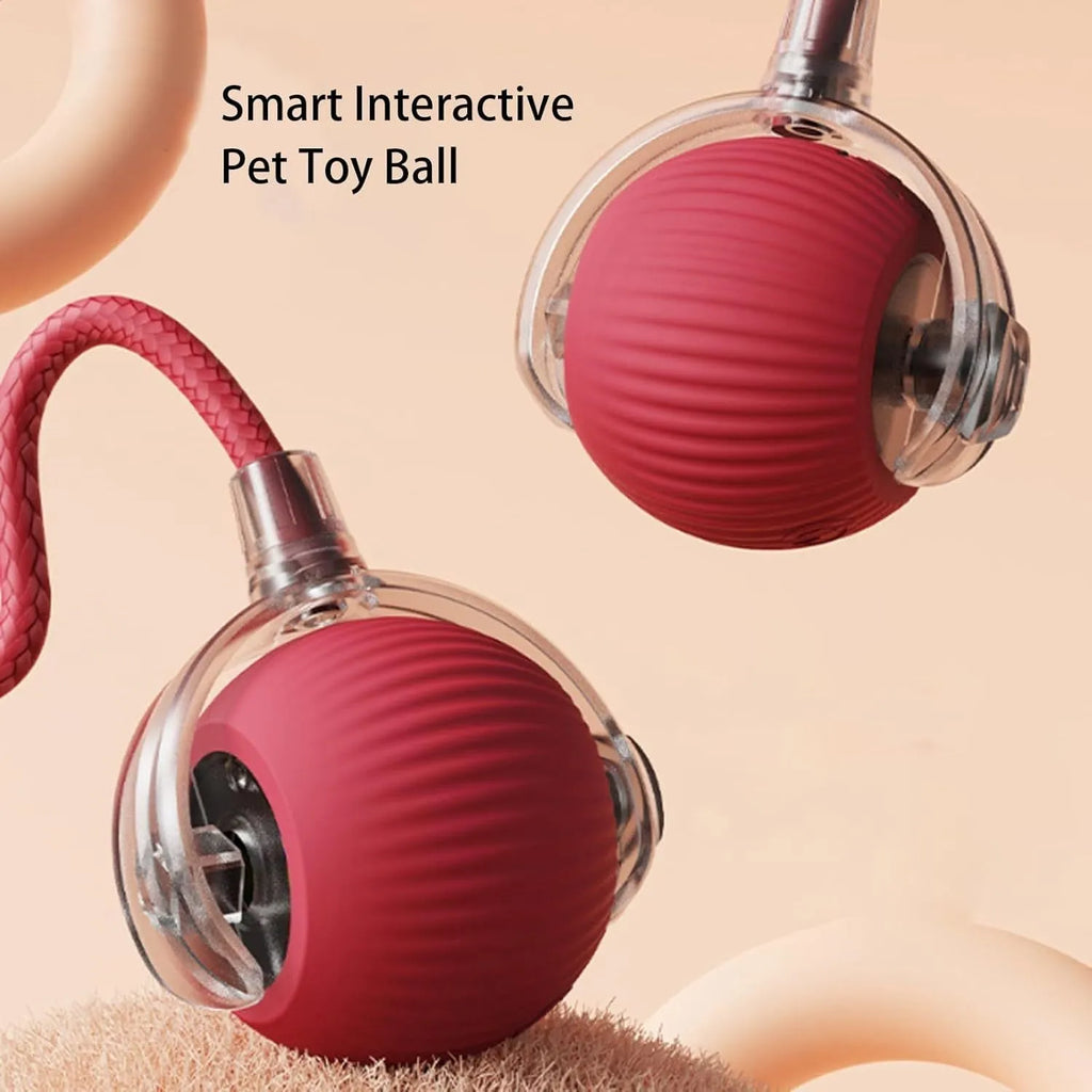 Grey automatic rolling ball toy for dogs and cats with attached rope, showing 6.5cm diameter