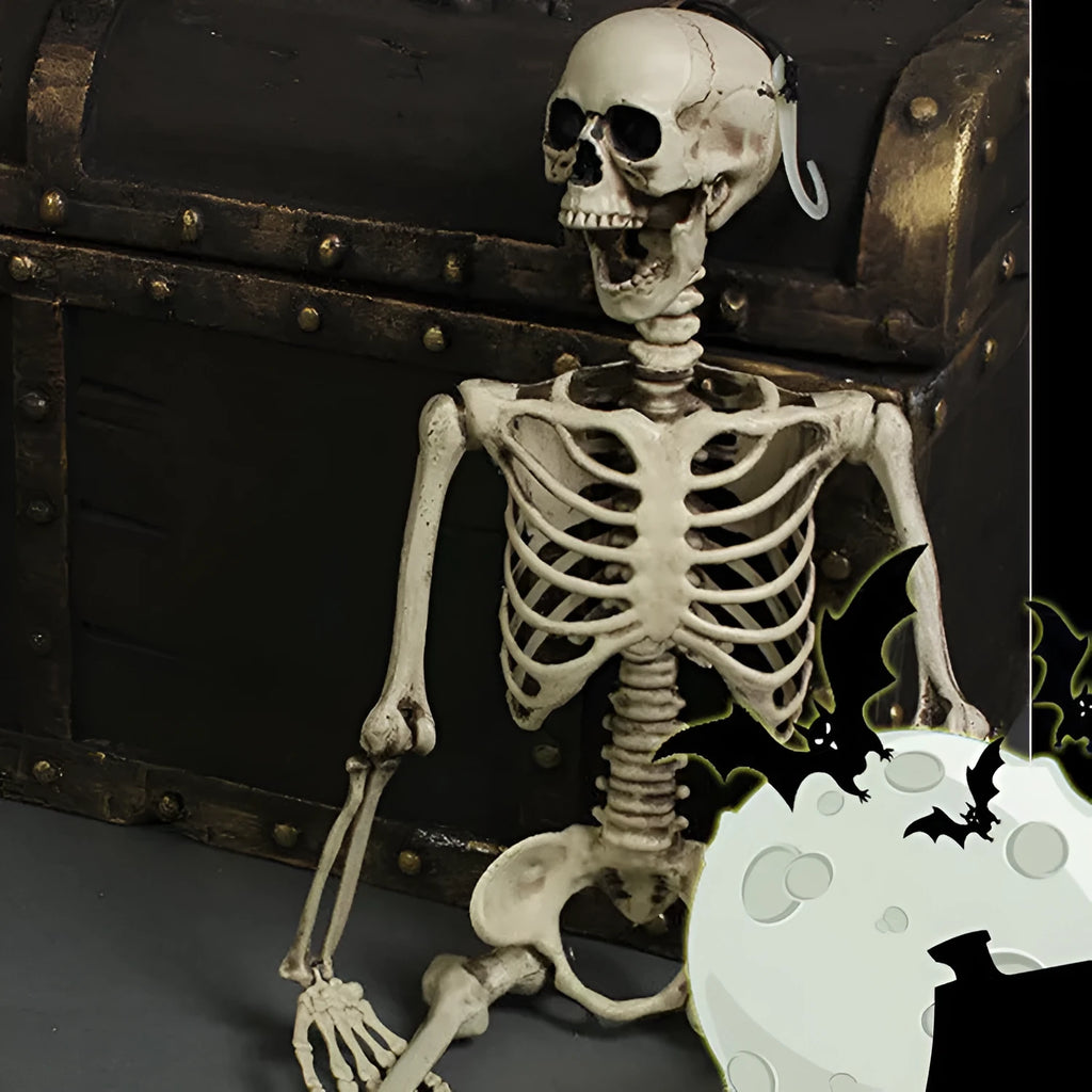 Full-size 170cm plastic skeleton display model with detailed skull and articulated joints