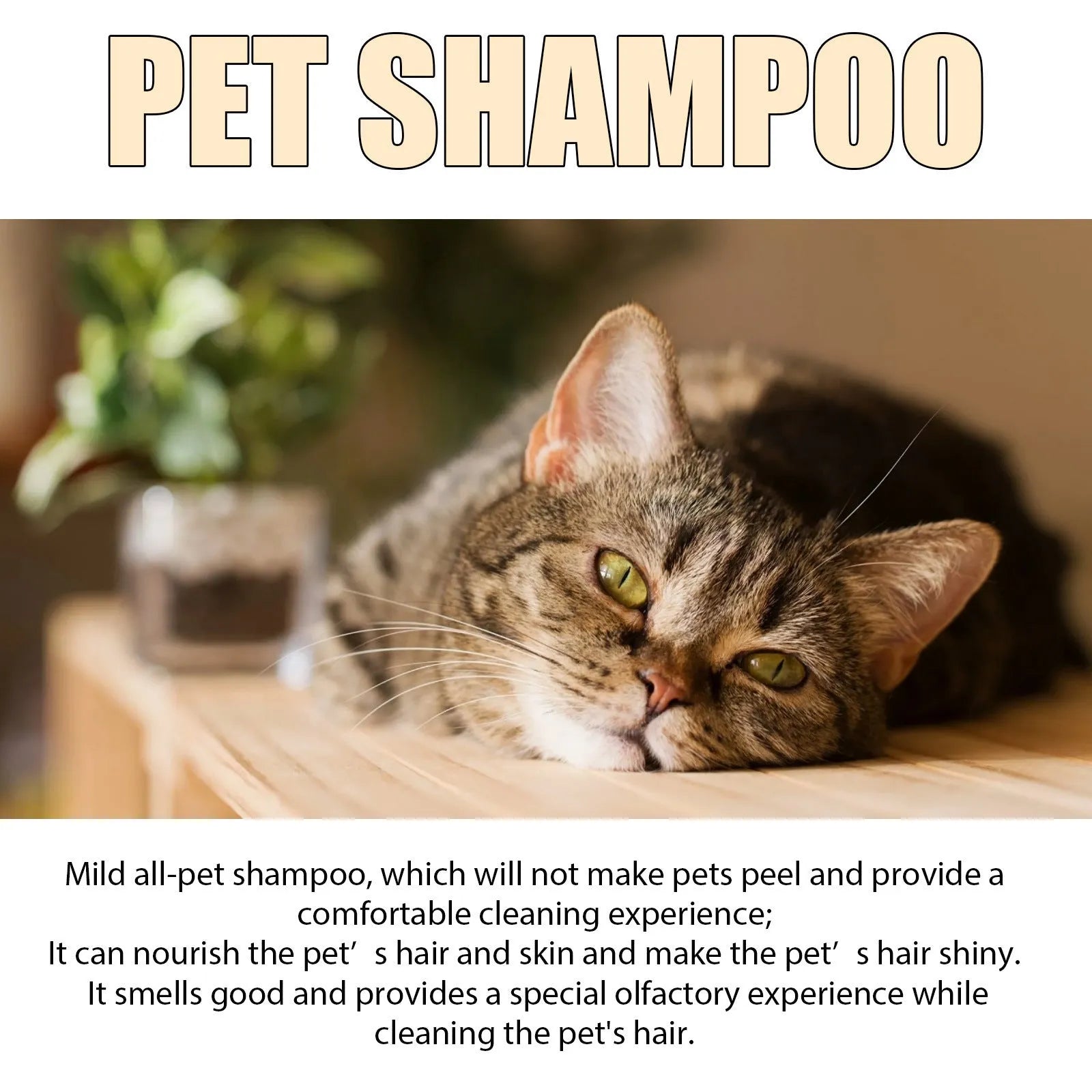 Mild dog shampoo bottle for softening hair and detangling, available in 100ml and 300ml sizes