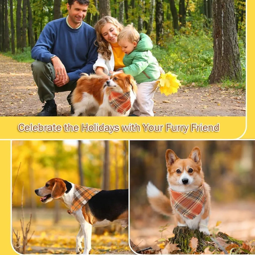 Classic plaid dog bandana with tasselled edges in autumn colours tied around dog's neck