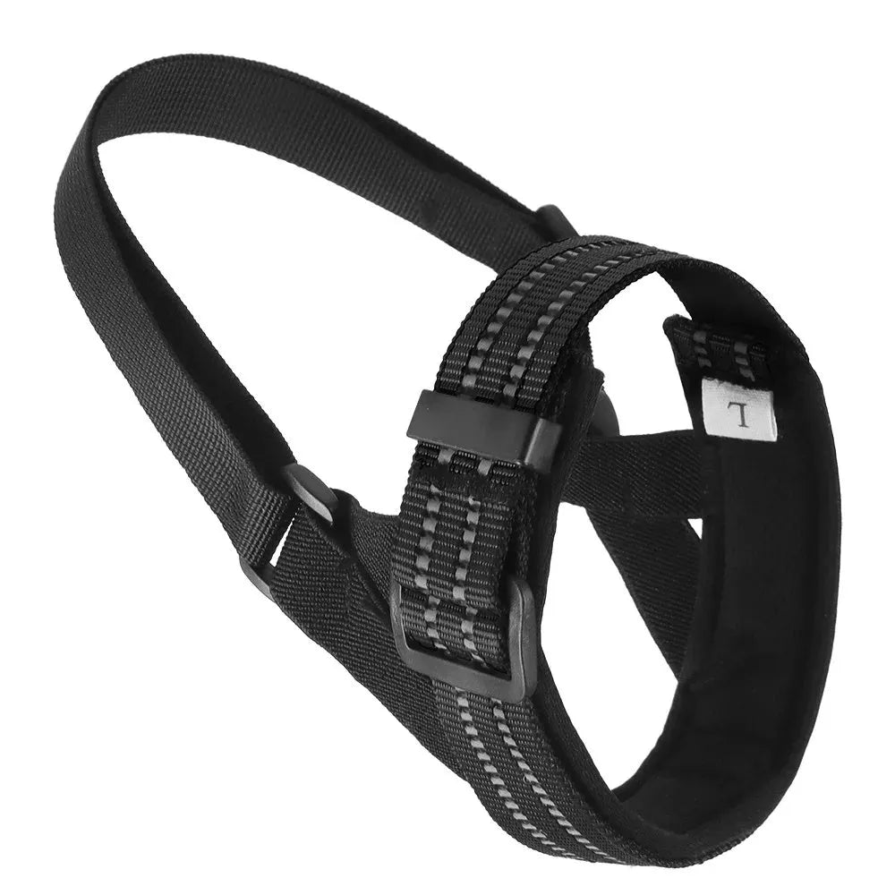 Adjustable reflective dog muzzle shown on a medium-sized dog, in blue colour.