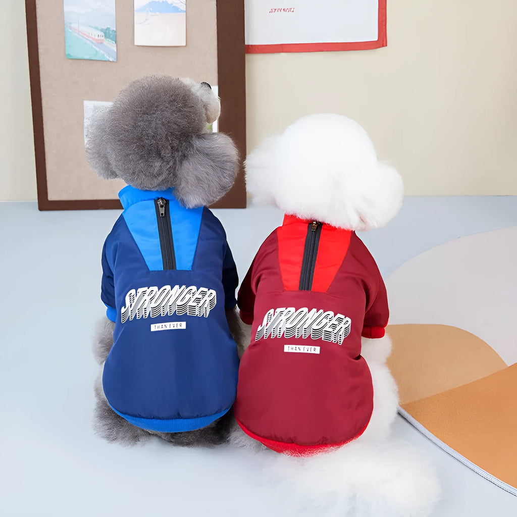 Red and blue V-shaped splicing cotton dog coat for dogs on size mannequin