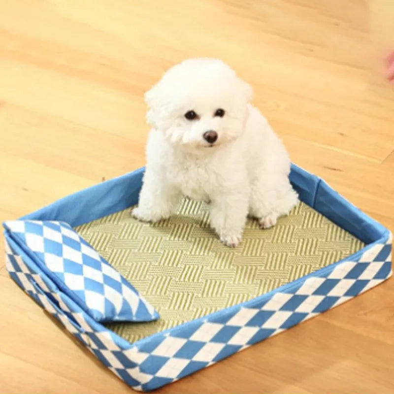 Natural rattan cat bed in blue colour showing woven cooling design for summer use with cats