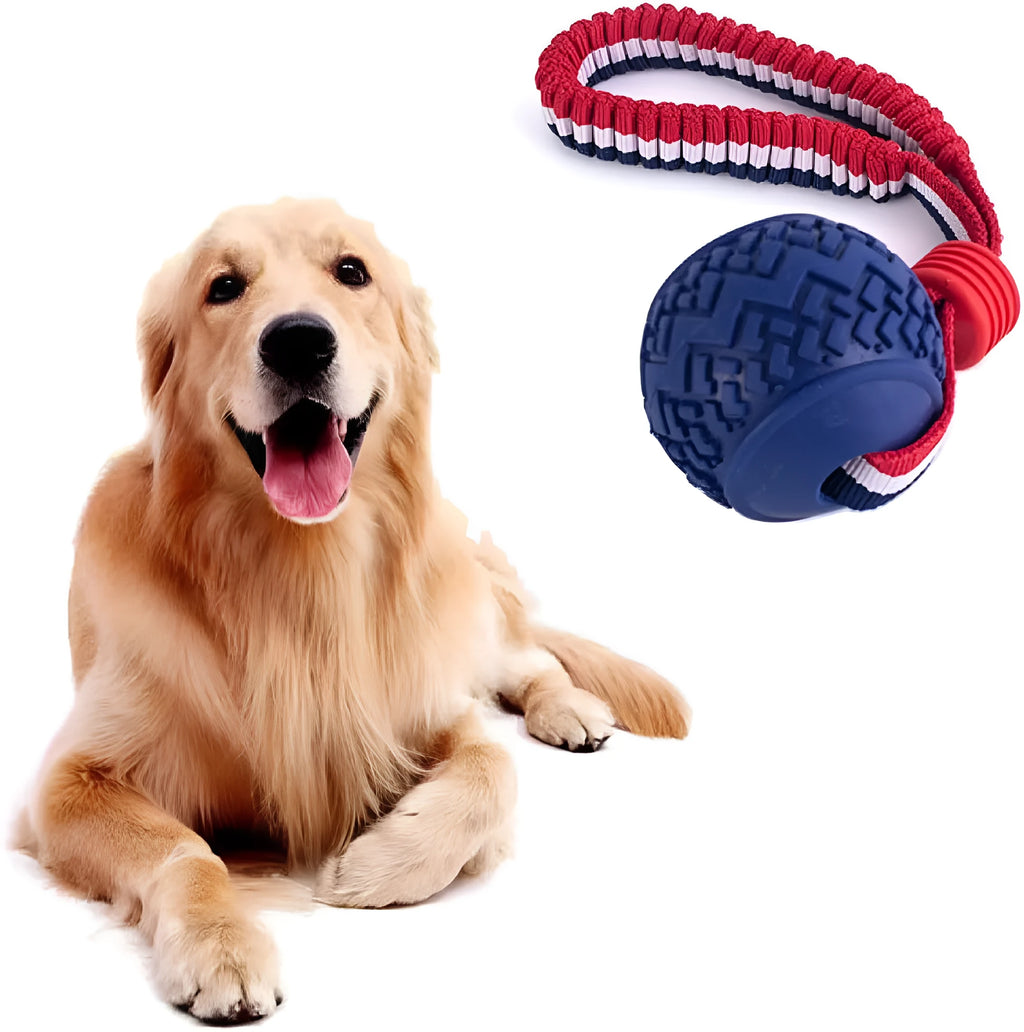 Blue dog toy showing a textured rubber ball attached to a woven rope, for small and medium breed dogs.
