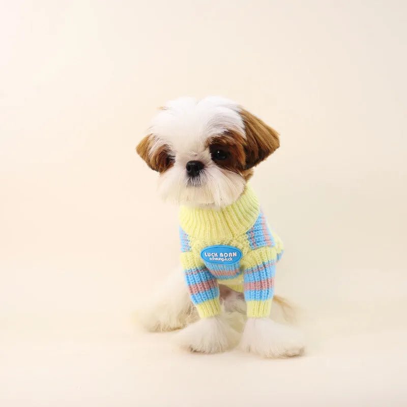 Blue and yellow striped wool dog jumper for small breeds like Schnauzer or Maltese.