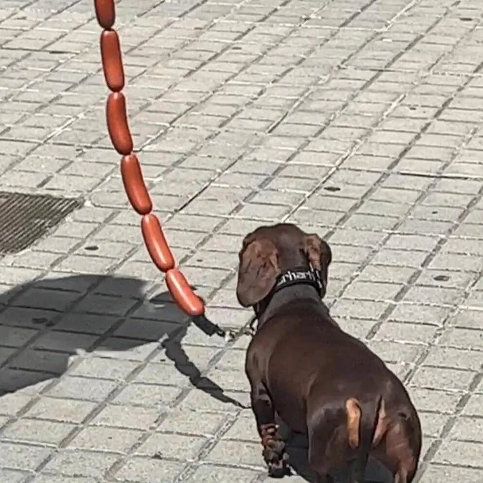 Brown cotton rope dog chew toy with sausage segments and hand grip, total length 108cm