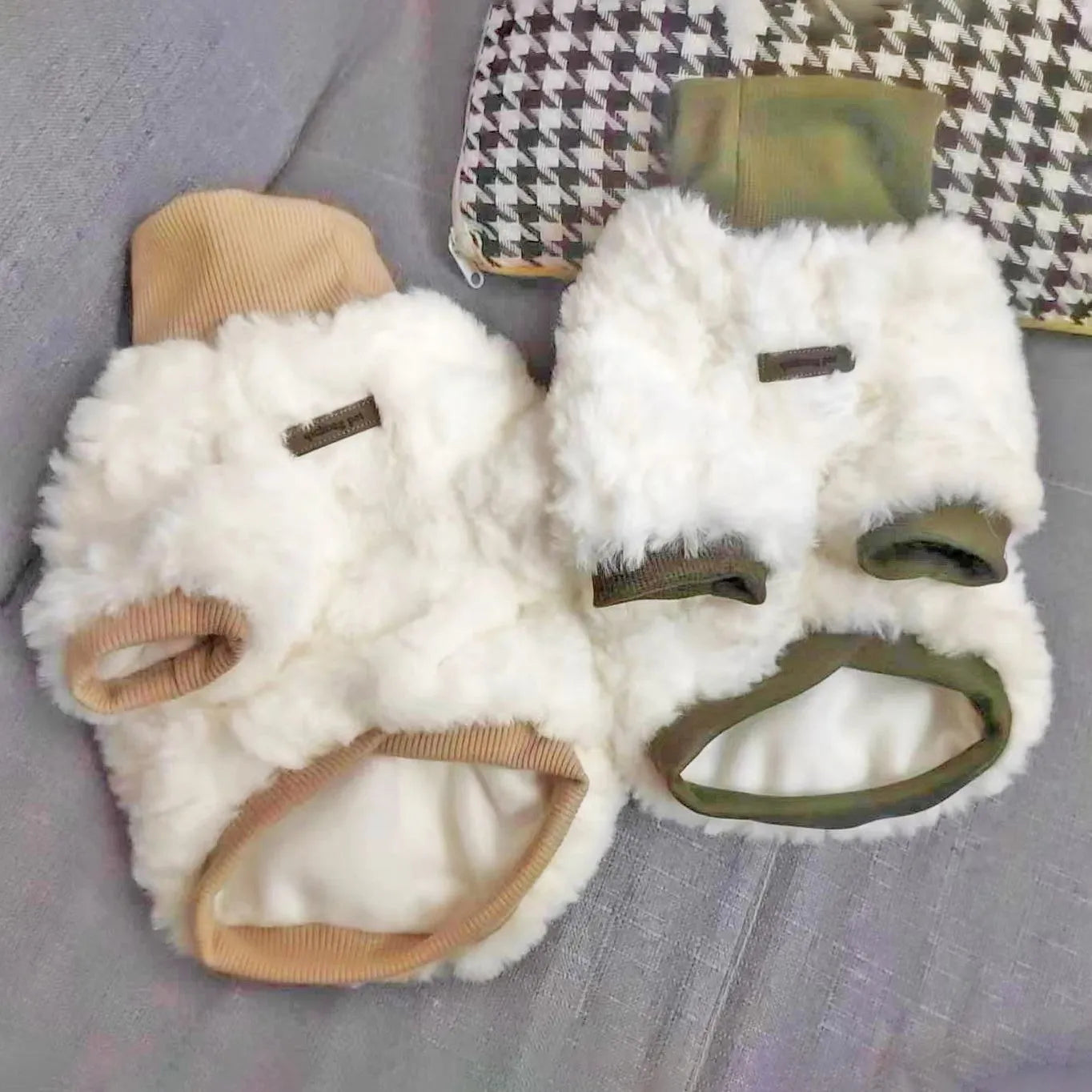 Creamy green turtleneck plush dog coat on small pet showing high collar design and cotton padding
