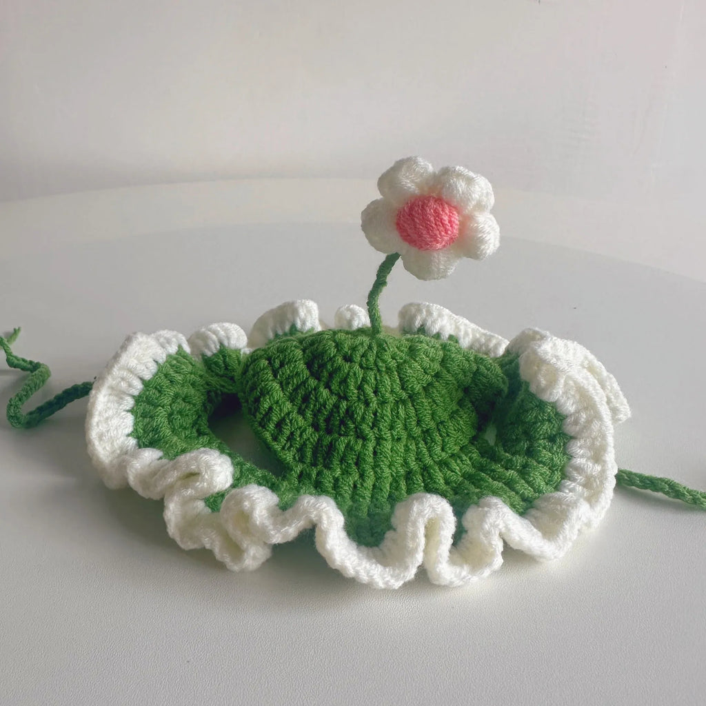Green knitted cat hat with cartoon face, shown on a small dog as a Halloween costume accessory.