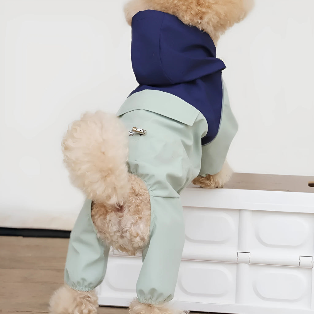 A small dog wearing a khaki-coloured British-style waterproof shell jacket outdoors.